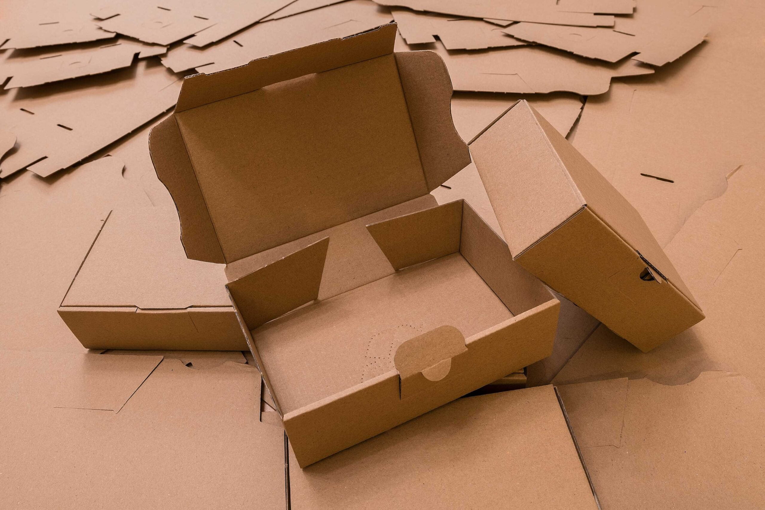 Cardboard Inserts