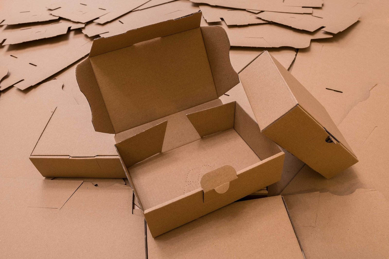 Cardboard Inserts